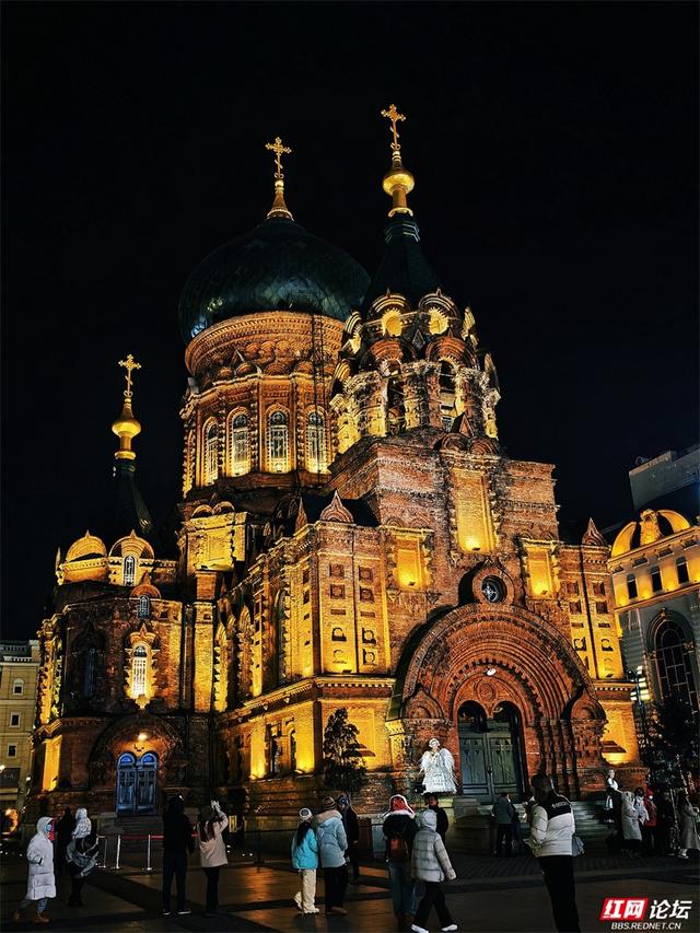 岁暖时刻丨冰城夜未眠：哈尔滨的浪漫从夜晚开始