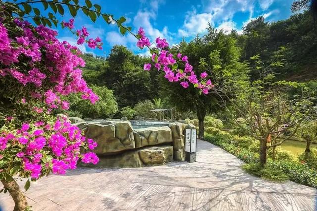 降温天的终极浪漫，是泡进一池温泉里！来南宁开启初冬仪式感