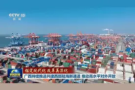 锚定现代化 改革再深化丨广西持续推进共建西部陆海新通道 推动高水平对外开放图片