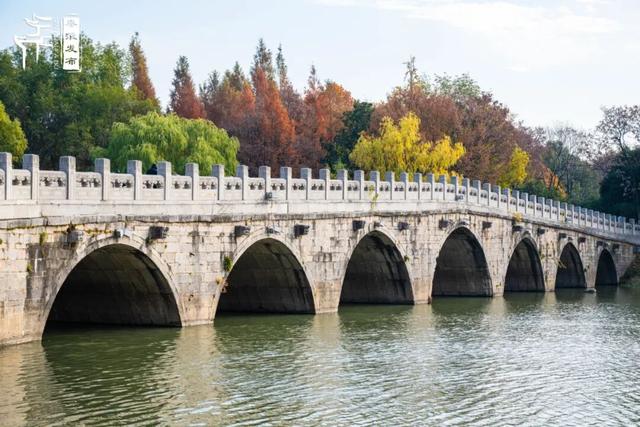 秦淮citywalk｜七桥瓮湿地公园