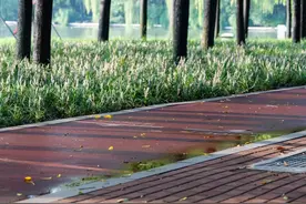 最佳运动时间不是“天刚亮”，更不是“临睡前”！别锻炼错了图片