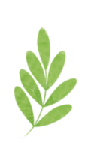 畅玩广安，只要5元！32000张普惠电子券马上开抢