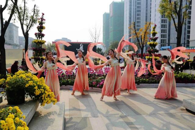 内乡县第35届菊花文化节开幕 县衙文创与采风活动彰显历史底蕴​