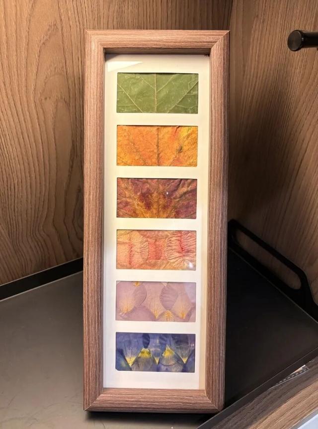 最美松湖 | 烦恼No，捡秋Go！来这里一键切换治愈模式