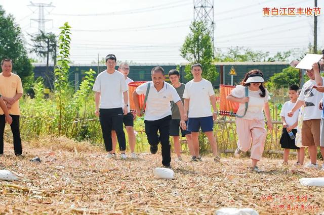 「青白江·庆丰收活动」攻略来啦！超有趣，搞快来→