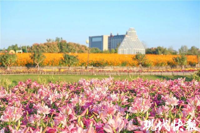 127场活动、超1.5万免费车位……盐城发布“双节”文旅大礼包
