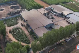 中国之声特别报道丨危废污泥变身有机肥原材料  石家庄危废处置关口为何会层层失守？图片