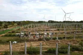 张家口康保县500MW光储项目开始光伏支架和组件安装图片