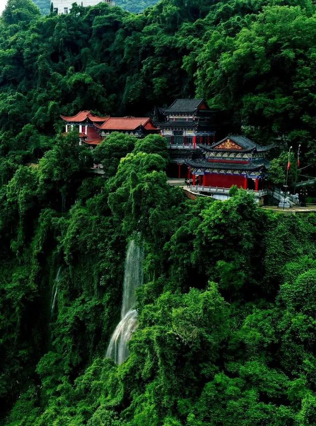 短短短短短……且赏且珍惜