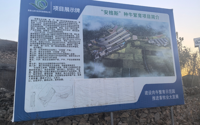 养牛场的秘密：两年多未见一头牛，每天盗采数十车矿石倒卖