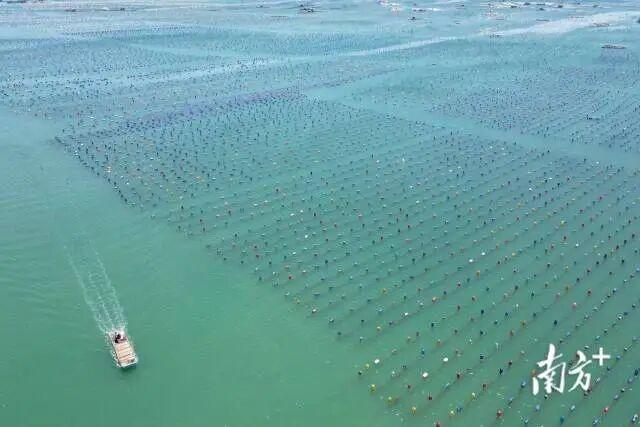 前路皆是美景！赵立坚推荐南澳岛风光，这些打卡点不容错过！