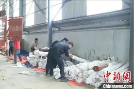云南临沧警方在中缅边境查获走私名贵木材4.5吨图片