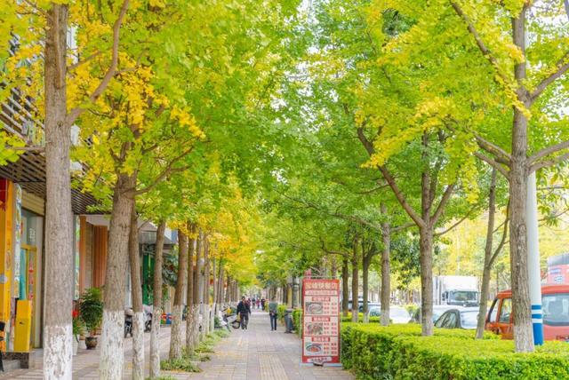 静谧的晋宁昆阳之秋，你可以清晰地听到自己的心跳