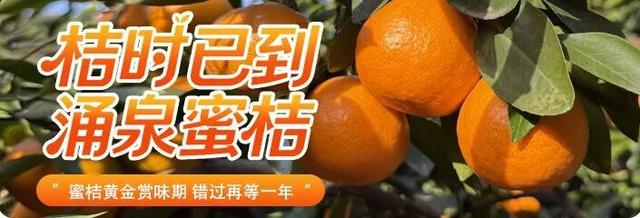 -8℃？！杭州伢儿激动了：家门口实现玩雪自由！