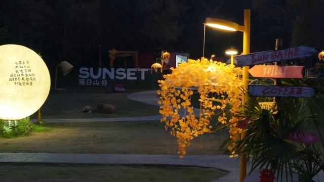 网上爆火的“银杏伞”，在银杏谷……