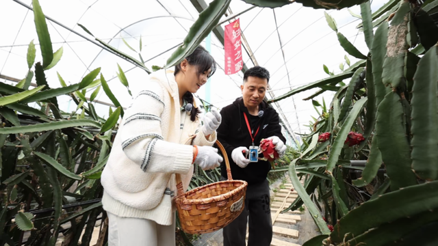 松江新农潮丨不止古风与自然！藏在叶榭乡村游玩的N种惊喜