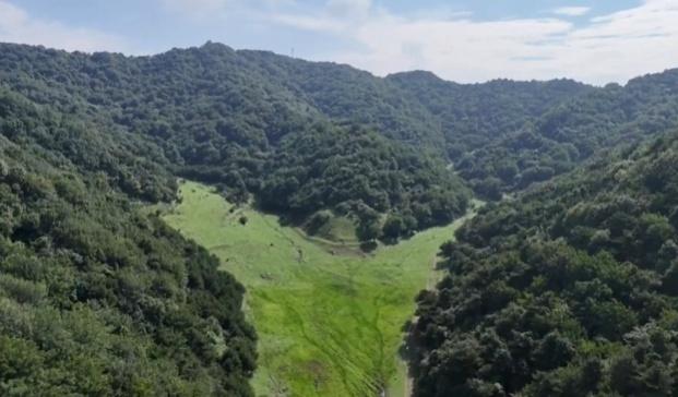 运城九大观鸟胜地邀你共赴冬日童话～