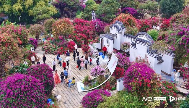 广东文旅元旦开门红，“景区NPC”成圈粉“利器”