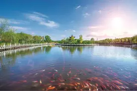 且以诗意共远方图片