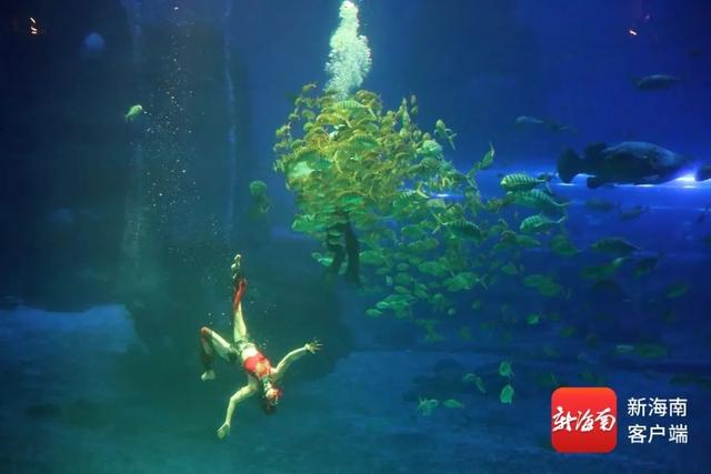 组图｜中外媒体团走进陵水 沉浸式感受海南海洋保育与海岛魅力