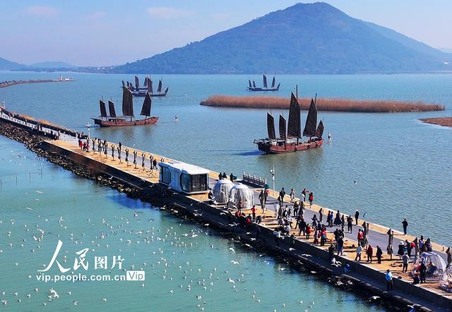 江苏苏州：太湖水域迎来赏鸥观景热潮