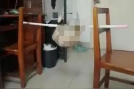 武汉理工大学称学生虐猫属实，该生已检讨！将据调查情况处理图片