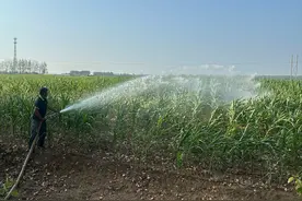 局地30天未下雨，河南省气象局解读最新降雨趋势图片
