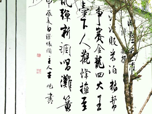 水岸共治，千年古河焕发崭新生机