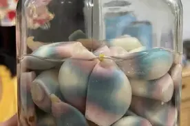 腊八蒜进化成彩虹色能吃吗？专家：没腐烂就能食用图片