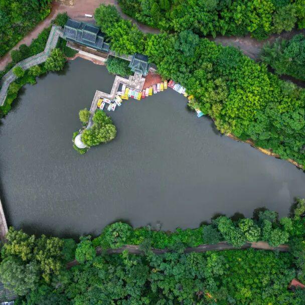 从云端到山野，济南这两地入选省级案例！你打卡过吗？