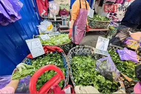 秋季蔬菜上市旺季到来，您家买到“一元菜”了吗？图片