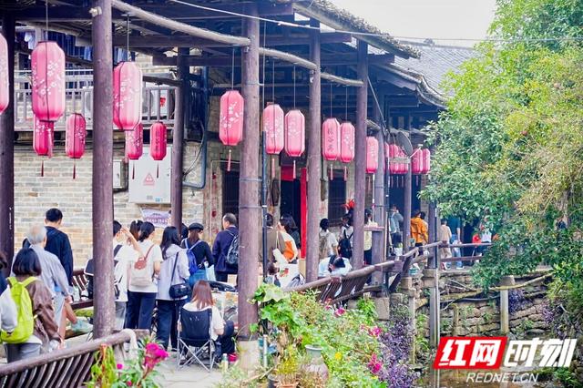 “联映古村·毅行驿道”张谷英文化行活动启幕