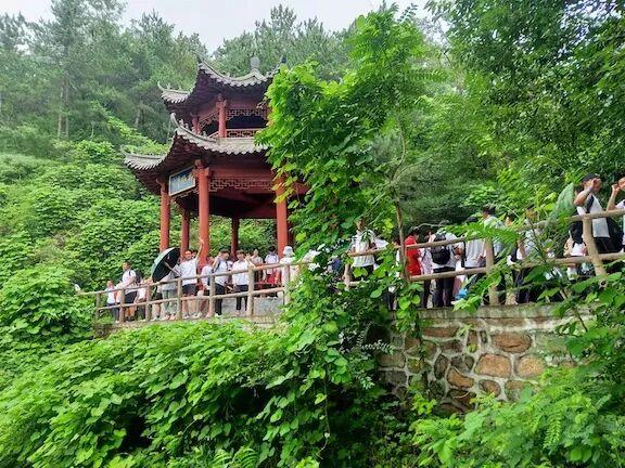 半年销量破5万，这张“票”做对了什么？