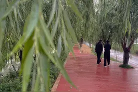 云南南华：护一江清水 育发展新机图片