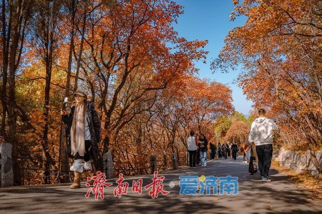 济南红叶谷：满山红遍燃秋意，层林尽染醉游人