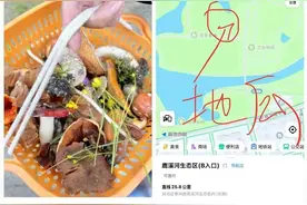 三伏“打野”！成都“鸡枞菌”“野地瓜”地图火了，专家提醒图片