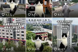 官方号，最终还是到00后手里了图片