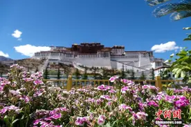 西藏布达拉宫夏日风光秀丽图片