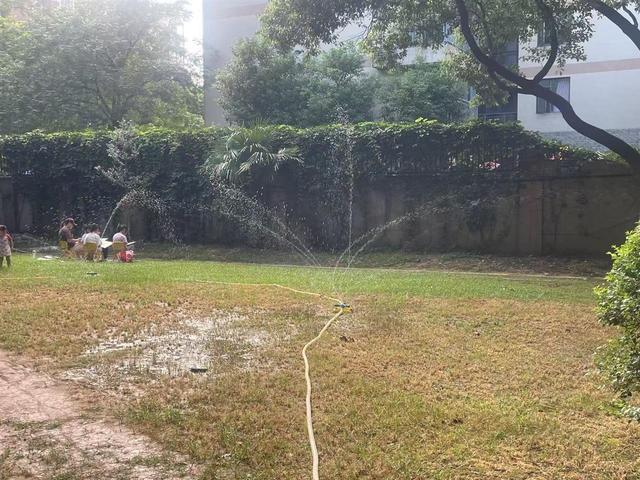 乔木用水管浇灌，草坪却是喷水花？武汉园林专家：不同植物保湿方法有讲究