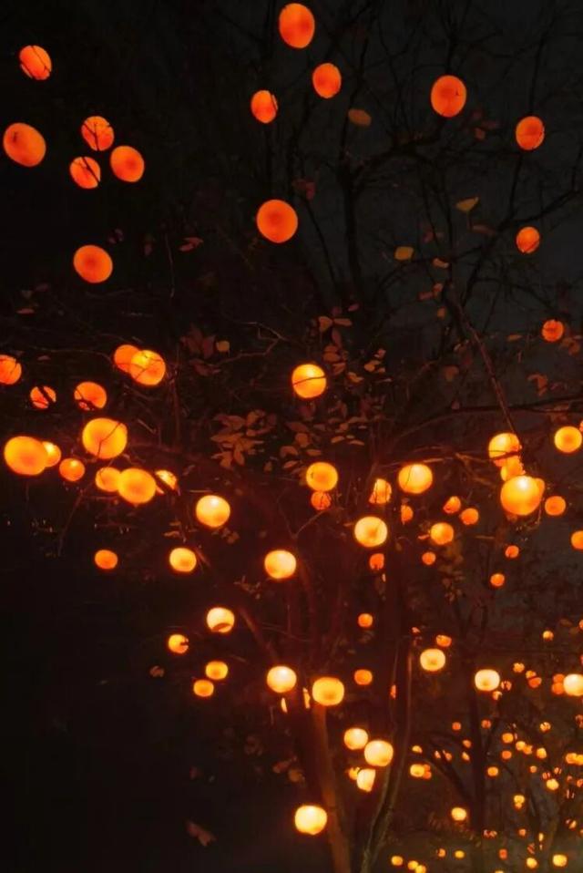 快出门！这些全是洛阳冬日限定！