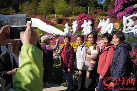 云萝植物园开园首秀人气大旺，绿意涌动描绘仙踪新景图片