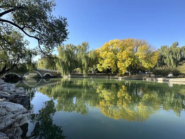 不必扎堆地坛公园！东城区赏秋攻略，一图收藏