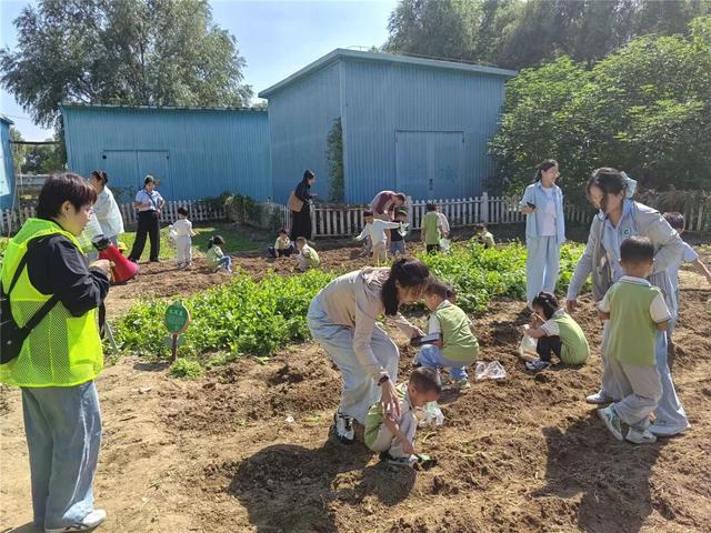 抓螃蟹、割稻子、做稻草人……就在海淀这个稻田艺术节——