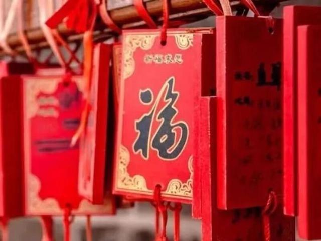 家门口享惬意时光！滨州一小岛对外开放
