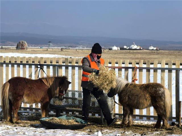 冬游敕勒川 冰雪欢乐多