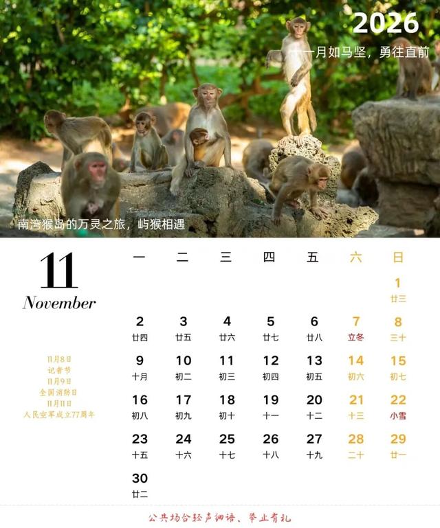 宠粉啦！陵水发布2026陵水美景台历免费送