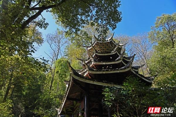 怀化中坡山，层林尽染的氧吧，市民天天逛、摄影家追着拍