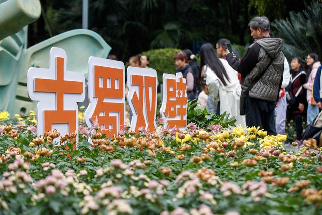 千株万朵菊花开，深秋又有春意来