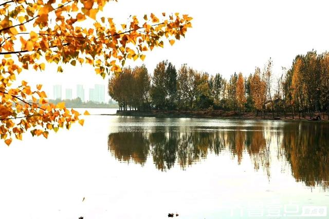 秀山东丨泰安市新泰，‌层林尽染映湖光，初冬绘就多彩画卷