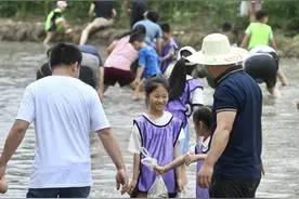 水田里体验浑水摸鱼 愉快过节｜图集图片